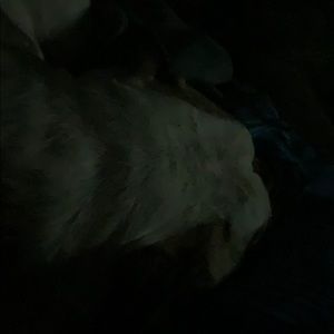 Meet your Posher, Diane